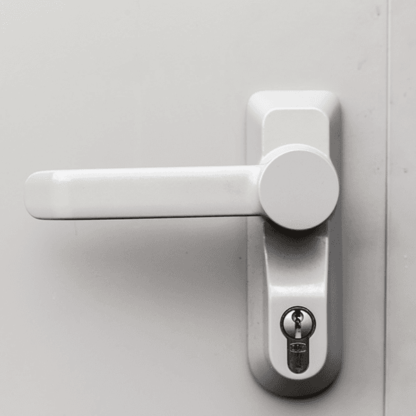 PAS 24 Security Steel Doors — detail view